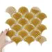 Current selected product: Tile Flabellum Amber Gloss